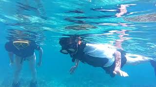 スノーケルシーン