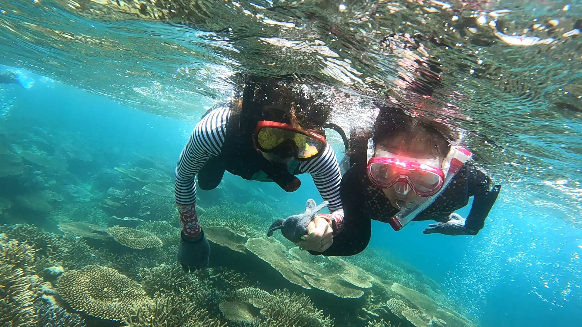 スノーケルシーン