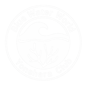Blue Water World by Yonehara Club